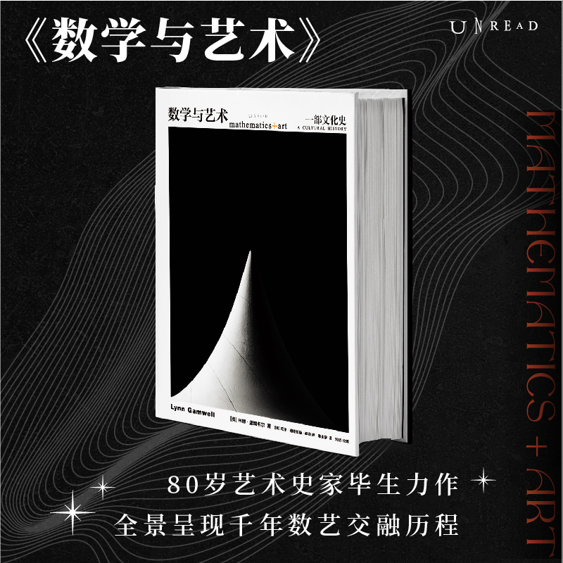 数学与艺术：一部文化史 普林斯顿大学出版社镇社之宝  中文引进 授权版本 科普 艺术 收藏送礼大书 数学与艺术 新华书店正版书 - 图0