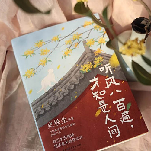听风八百遍才知是人间史铁生汪曾祺梁实秋丰子恺沈从文橙黄橘绿半甜时中国近代随笔文学新华文轩书店旗舰店官网正版书籍畅销书 - 图0