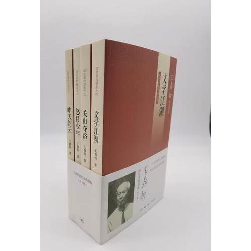 王鼎钧回忆录四部曲 文学江湖昨天的云关山夺路怒目少年 新华文轩书店旗舰店官网正版图书书籍畅销书 生活读书新知三联书店 - 图0