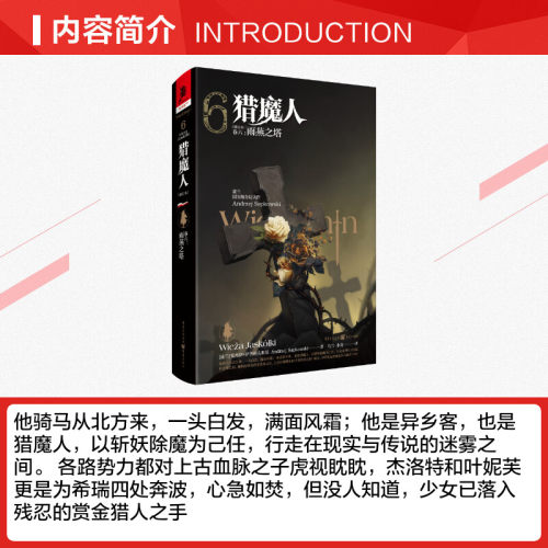 猎魔人(卷6雨燕之塔修订本)(精) (波兰)安杰伊·萨普科夫斯基 著 乌兰//小龙 译 外国小说文学 新华书店正版图书籍 重庆出版社 - 图1