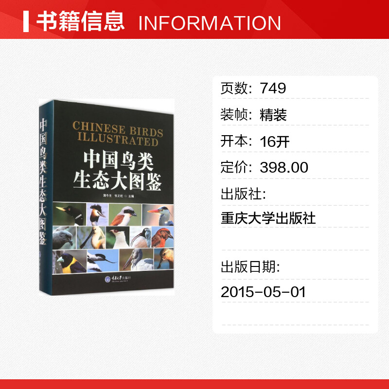 中国鸟类生态大图鉴自然生态图鉴中国鸟类图鉴鸟类知识档案动物百科鸟类物种鸟类生态图科普读物正版书籍-图0