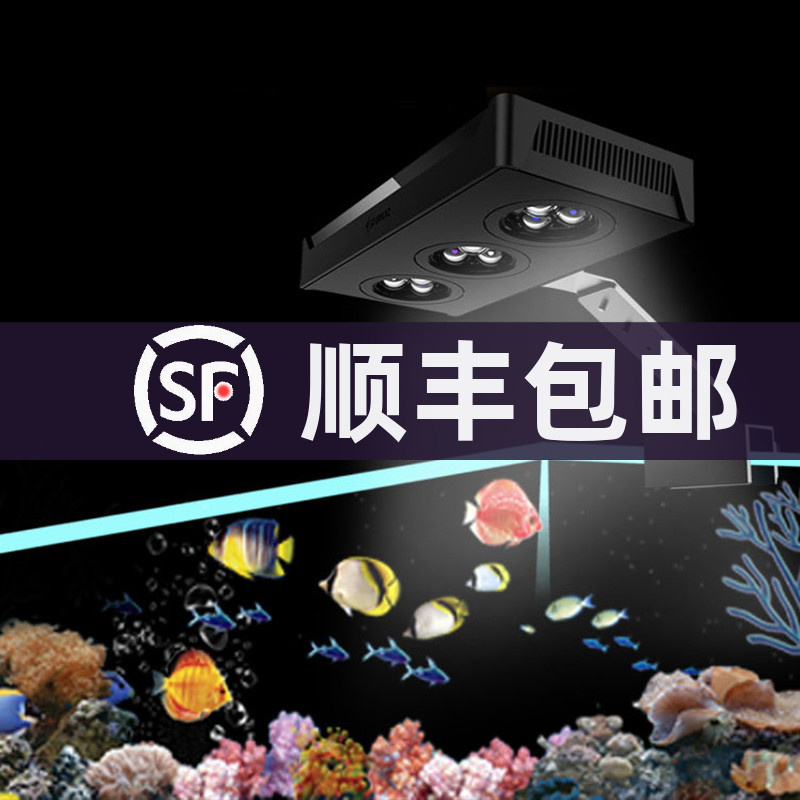 海水鱼led 新人首单立减十元 21年7月 淘宝海外
