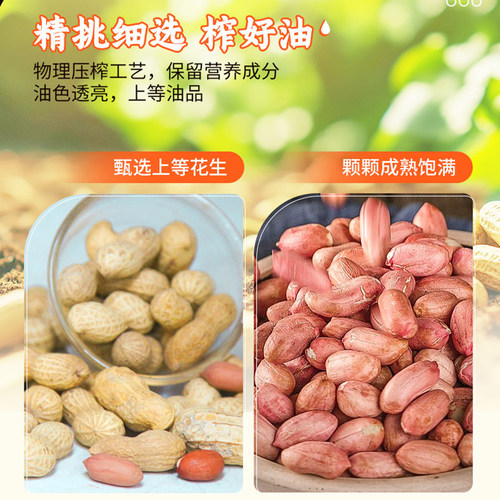 金龙鱼浓香花生油4L/大桶装物理压榨一级纯正花生油植物油食用油 - 图0