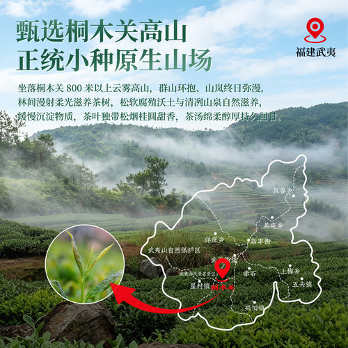 正山王茶叶特级正山小种红茶武夷山桐木关新茶礼盒装散茶罐装500g - 图0