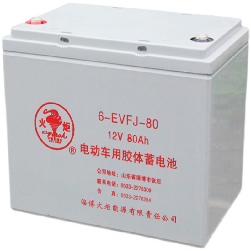 火炬蓄电池3-EVF-200铅酸6V200AH观光车牵引动力加液电瓶扫地车 - 图3