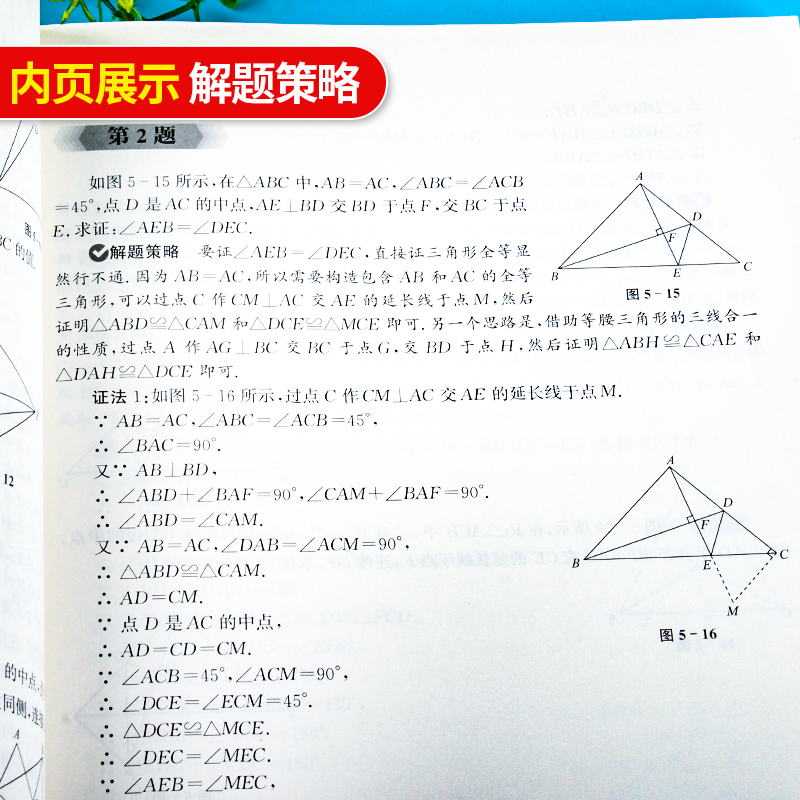 初中数学代数/几何一题多解一题多变  初中数学压轴题专项练习必刷题七八九年级上下册数学精讲精练2024中考数学解题技巧思维训练 - 图3