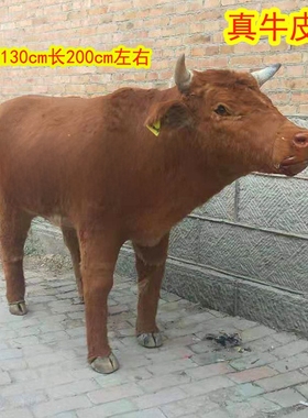 大型标本仿真餐厅招财橱窗工艺品