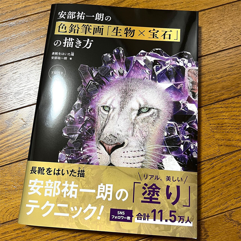 【现货】安部祐一朗の色鉛筆画「生物×宝石」の描き方，安部佑一郎彩色铅笔画：生物×宝石的画法 日文原版图书进口正版 插画技法 - 图1