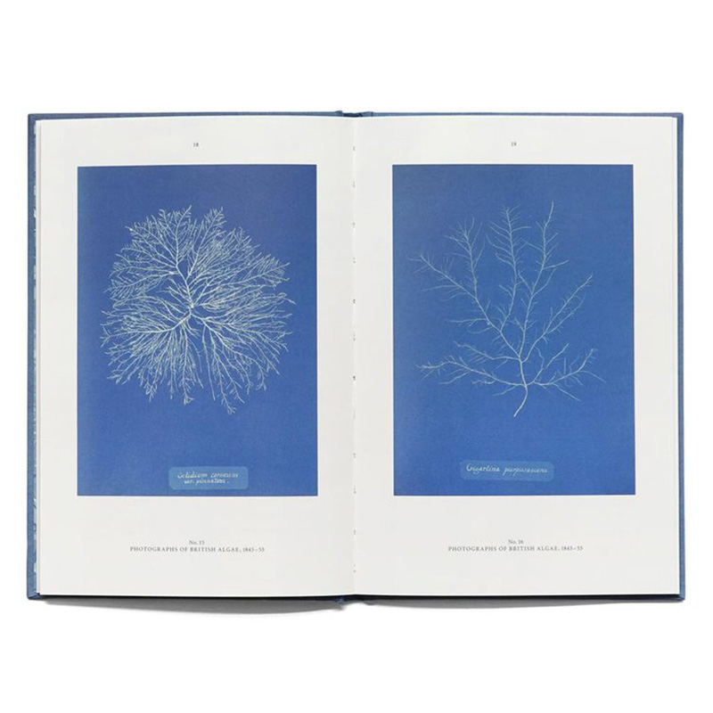 【预售】 Anna Atkins: Blue Prints，安娜·阿特金斯：蓝色植物集英文原版图书籍进口 Rolf Sachsse摄影师专辑作品集 Hirmer-图0