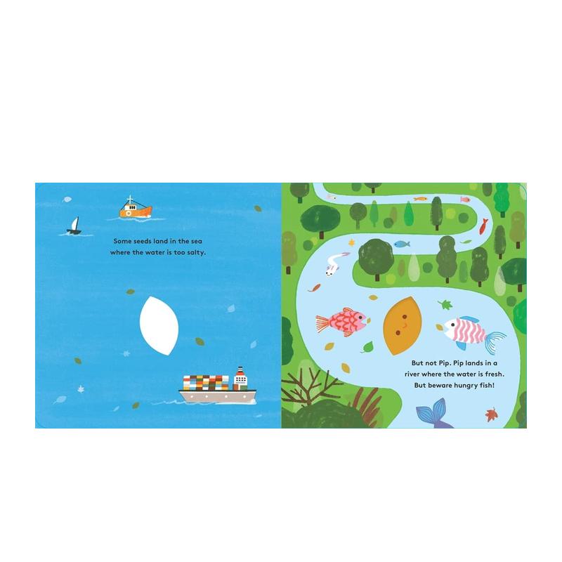 【现货】【小小生命周期】种子 Little Life Cycles: Pip 英文原版儿童绘本 - 图3