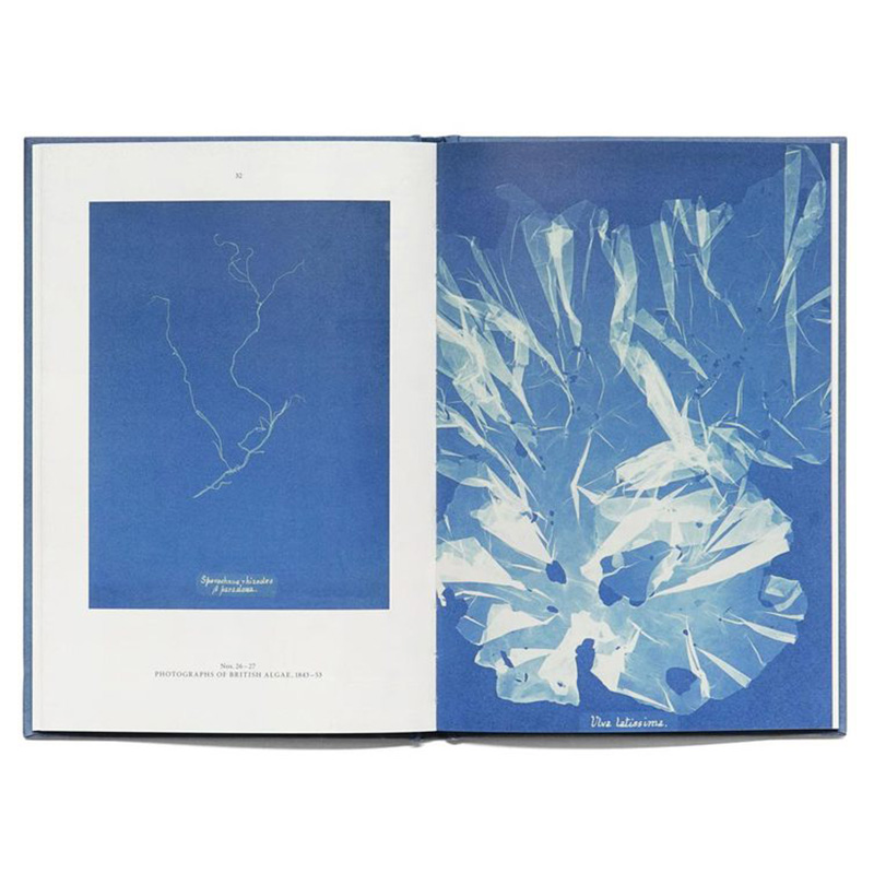 【预售】 Anna Atkins: Blue Prints，安娜·阿特金斯：蓝色植物集 英文原版图书籍进口 Rolf Sachsse 摄影师专辑作品集 Hirmer - 图3