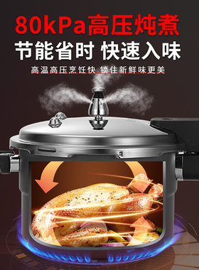 志高压力锅商用大容量