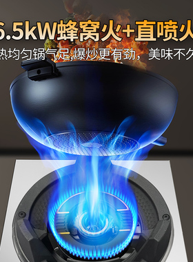 志高商用燃气灶家用猛火灶