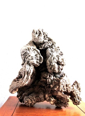 天然风化陈化沉水木枯木整体随形根雕根艺摆件家居新中式软装饰品