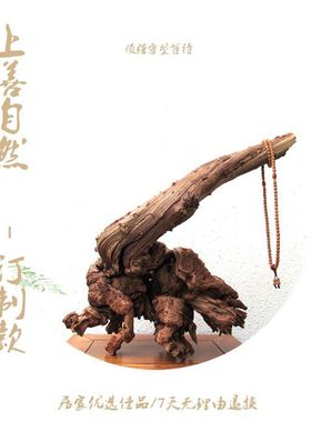 枯木随形根雕软装造景摆件订制