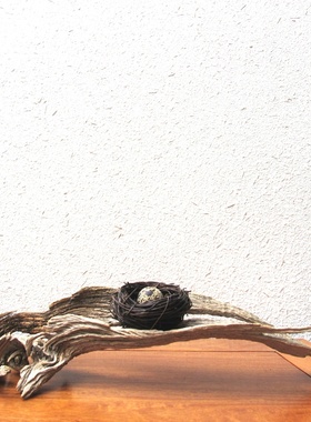 天然鸟窝千年胡杨风化枯木整体随形摆件家居客厅玄关书房自然创意