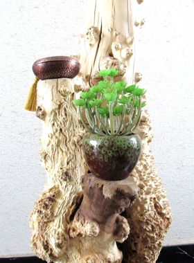 风化木原木留疤原生态根艺随形花台花架摆件田园禅意客厅家居饰品