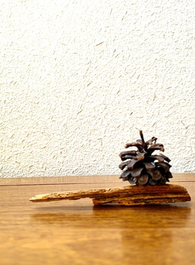 千年胡杨风化木摆件自然禅意微景观创意文玩珠宝首饰搭配拍照底座