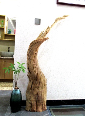 千年胡杨风化老木原木随形根艺摆件自然禅意艺术创意家居收藏饰品