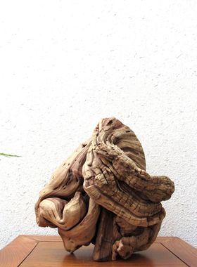 枯木风化木整体随形摆件天然根艺根雕家居办公室田园禅意文化创意