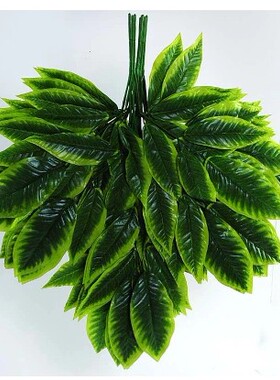 仿真芒果叶 园林工程装饰假植物仿真叶子 仿真假树枝树叶假芒果枝