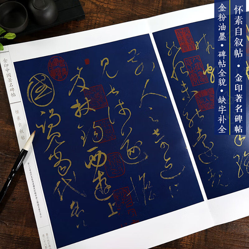 怀素自叙帖 金印中国碑帖 孙宝文编 名家作品精选 怀素草书毛笔书法软笔字帖 简体旁注原碑原帖 成人学生书法入门临摹书籍