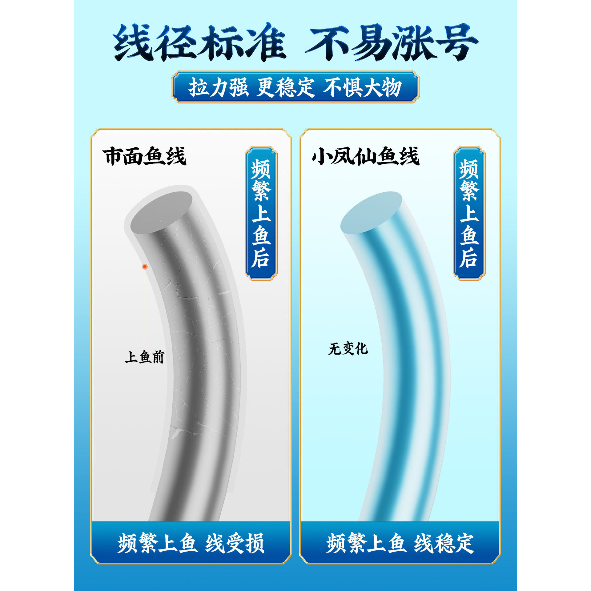 小凤仙无结线组鱼线套装日本进口鱼线尼龙线组成品钓鱼线全套绑好,淘宝优惠券,粉丝福利购,淘宝优惠卷