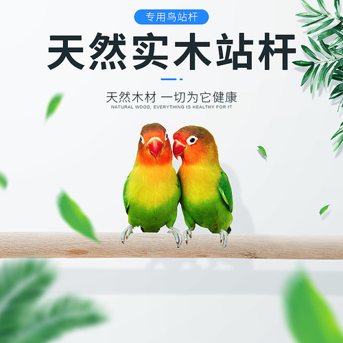 鸟笼塑料站杆木制站杆虎皮鹦鹉八哥鹩哥站杆鸟笼配件站棍长度可选 - 图1