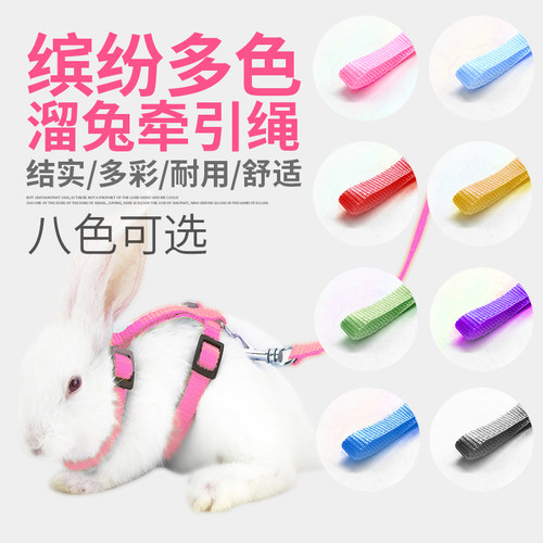 兔子牵引绳兔兔外出的绳子宠物专用遛兔绳溜兔绳防挣脱可调节 - 图0
