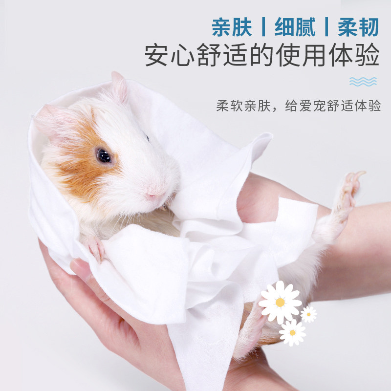 极速兔子荷e兰猪豚鼠洗澡沐浴清洁用品一次性浴巾鹦鹉刺猬小宠专,淘宝优惠券,粉丝福利购,淘宝优惠卷