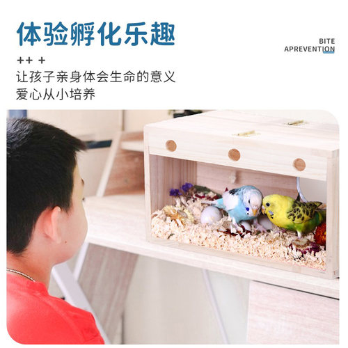 透明鹦鹉繁殖箱玄凤虎皮牡丹用鸟类用品内挂专用鸟窝鸟巢鸟房巢箱 - 图0