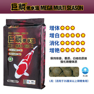 鱼食神阳巨鳞锦鲤饲料比赛级育成增体增色颗粒鱼粮易消化鱼饲料