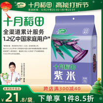 October Rice Paddie Purple Rice 1kg 5 Cereals Low Fat Coarse Grain glutinous rice mix with rice to stay porridge steamed rice 2 catties vacuum