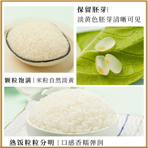 2025新米十月稻田大米胚芽米2.5kg东北香米饭真空装5斤官方旗舰店 - 图2