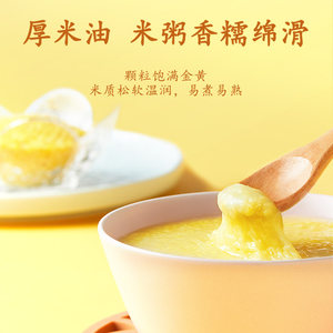 十月稻田黄小米熬粥煮饭小米粥粗粮五谷杂粮米油黄米5斤真空官方