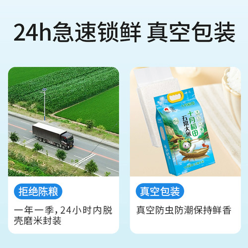 十月稻田五常大米东北大米饭香优质一等5kg/2.5kg官方旗舰店真空 - 图3