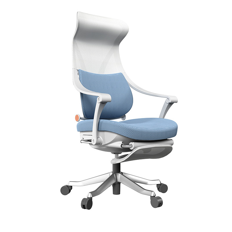 家用升降电脑椅可躺午休办公椅品质耐用护腰椅子办公室人体工学椅,淘宝优惠券,粉丝福利购,淘宝优惠卷