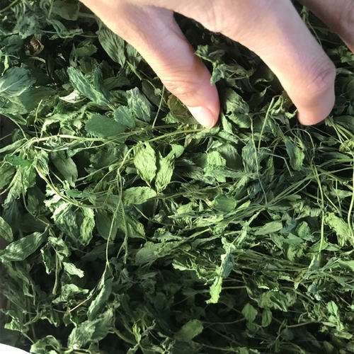 2023 Новый сушильный фиолетовый цветок, трава нежная трава, соус, 苜蓿 苜蓿 苜蓿 20 20 20 20 20 20 龙 龙 龙 20 20