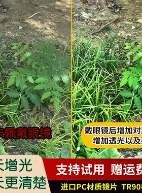 新款440c重镖六四棱圆头射鱼靶
