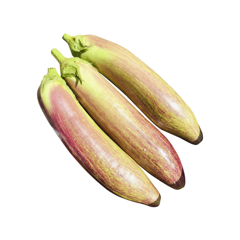 冰川糯茄子云南批特色餐厅酒店食材农家新鲜发烧烤缅甸5脆皮2包邮,淘宝优惠券,粉丝福利购,淘宝优惠卷