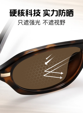 【榛果镜】26新款猫眼墨镜女款