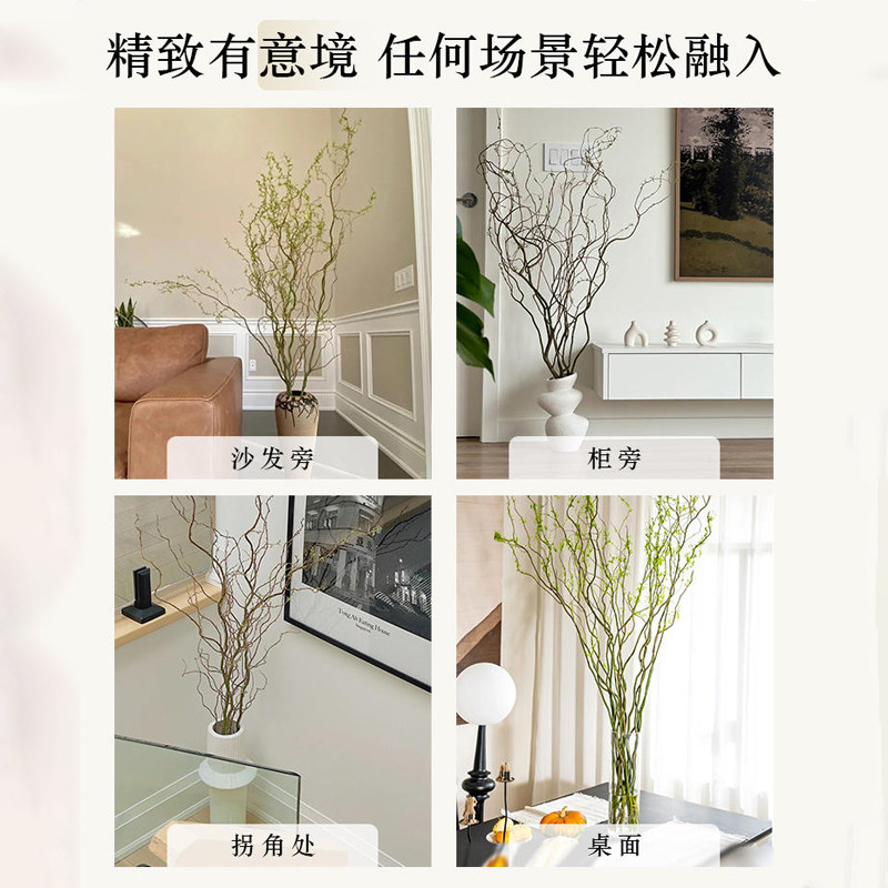 龙柳鲜枝水培植物室内好养活绿植客厅干支雪柳富贵竹水养花卉盆栽,淘宝优惠券,粉丝福利购,淘宝优惠卷