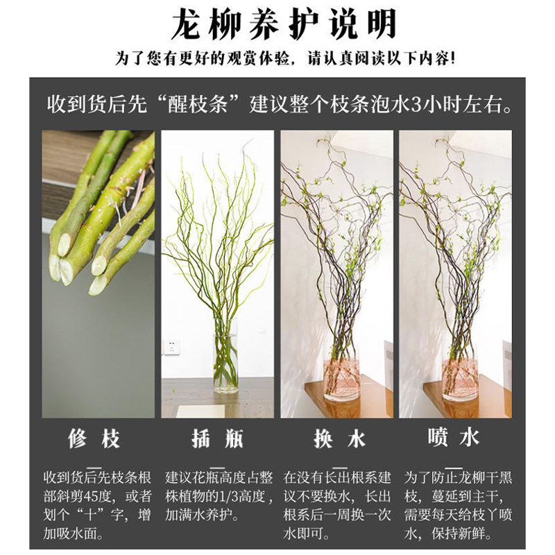 龙柳鲜枝水培植物室内好养活绿植客厅干支雪柳富贵竹水养花卉盆栽,淘宝优惠券,粉丝福利购,淘宝优惠卷