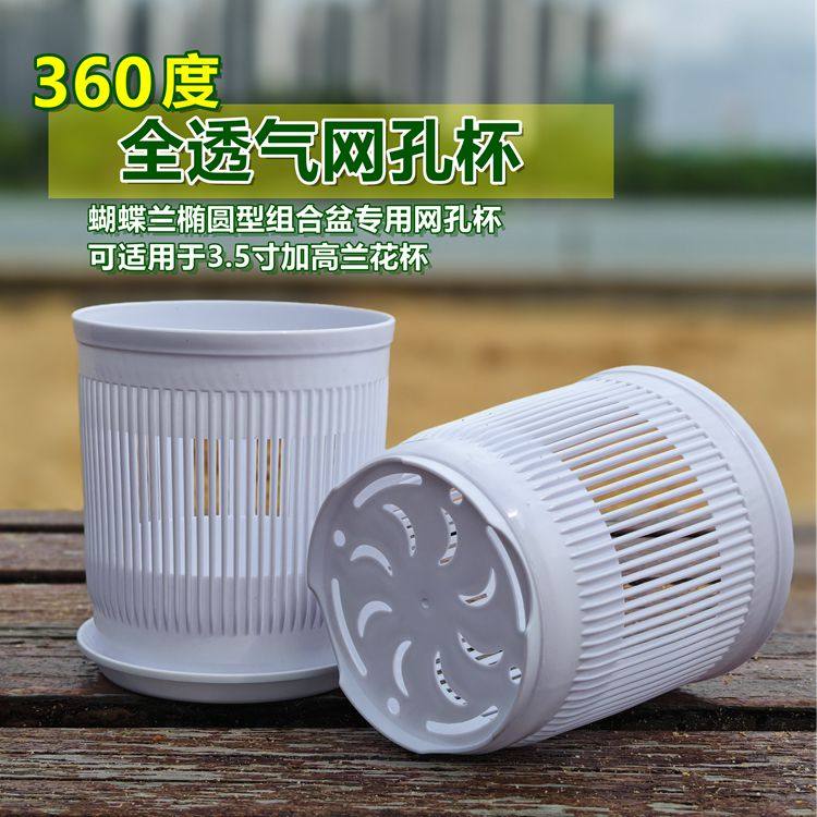 3.5寸兰花杯加厚蝴蝶兰种植网孔杯通风透气简约多肉食虫草小花盆,淘宝优惠券,粉丝福利购,淘宝优惠卷