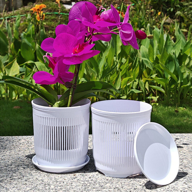 3.5寸兰花杯加厚蝴蝶兰种植网孔杯通风透气简约多肉食虫草小花盆,淘宝优惠券,粉丝福利购,淘宝优惠卷