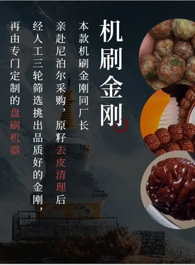 印尼爆肉树王藏式小金刚手串