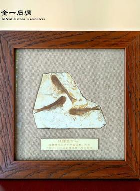 鱼化石书桌办公桌摆件