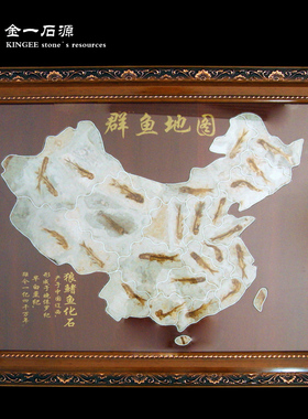 辽西天然古生物化石狼鳍鱼化石原石拼图实木精装裱精装礼品装饰品