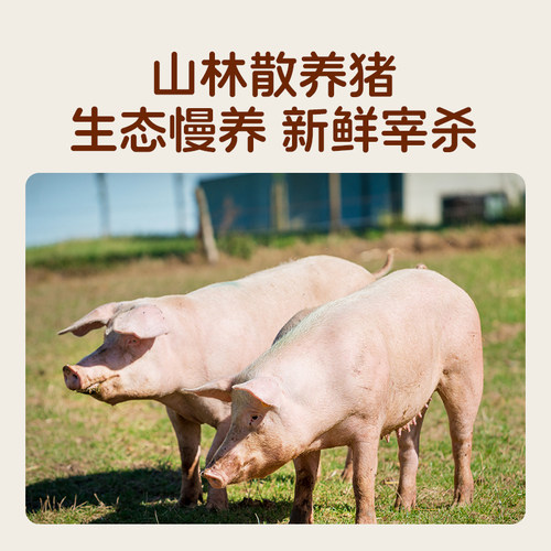 天然猪肠衣灌香肠家用儿童无添加食品级做火腿腊肠烤肠专用旗舰店 - 图1
