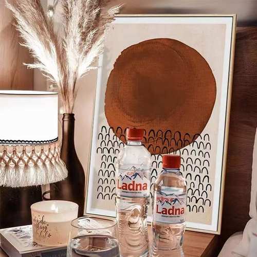 挂画ins风摆画海报家居装饰床头柜摆件抽象现代简约复古餐厅壁画 - 图1